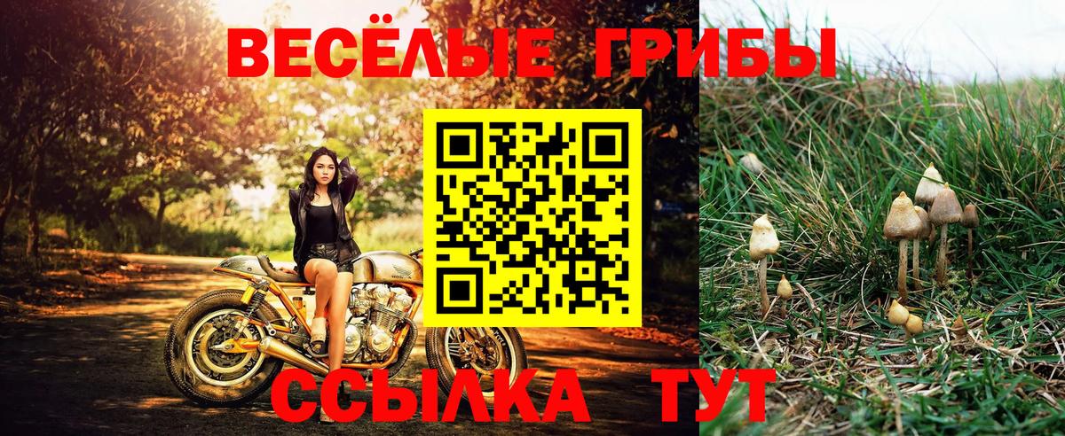 Старый Оскол  Псилоцибиновые грибы Psilocybine cubensis  Галлюциногенные грибы Cubensis  Вход с VPN 